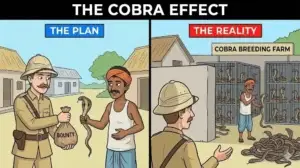cobra effect